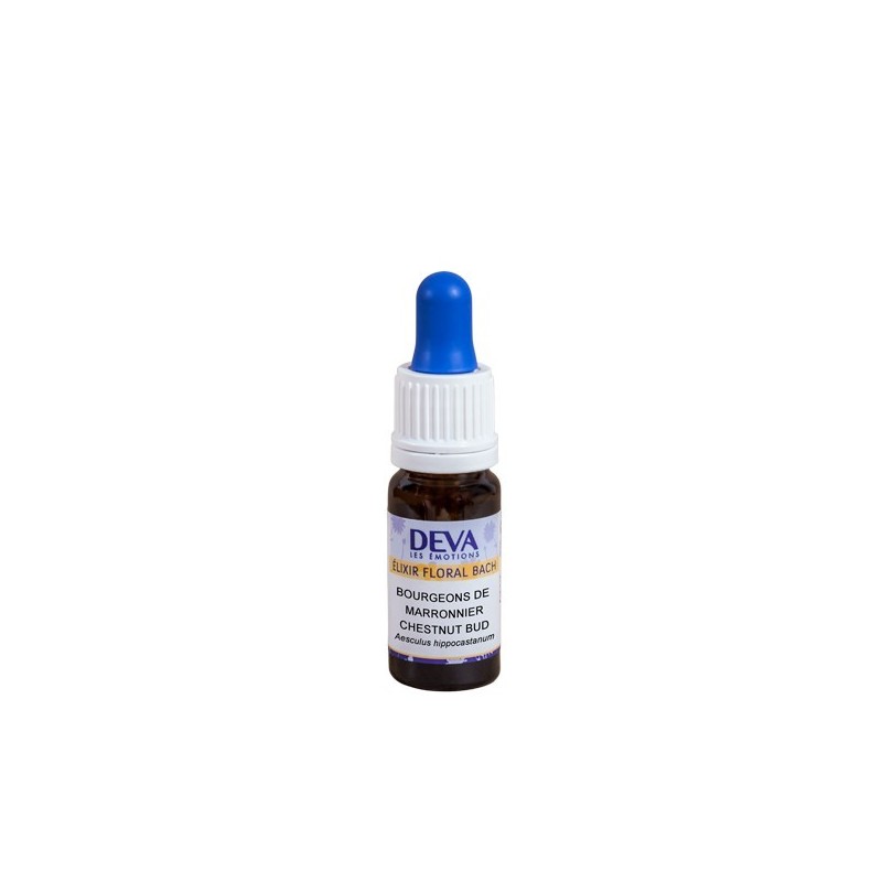 Chestnut Bud 30 ml. Chestnut Bud 30 ml.