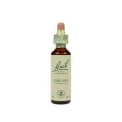 Chicory 20 ml.