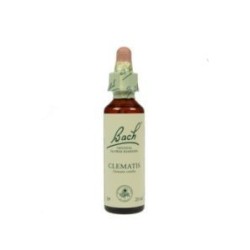 Clematis 20 ml.