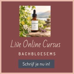 Live Online Cursus Bachbloesems – 3 Avonden
