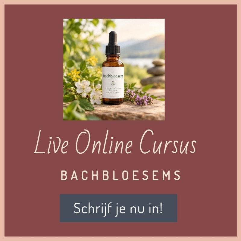 Live Online Cursus Bachbloesems – 3 Avonden