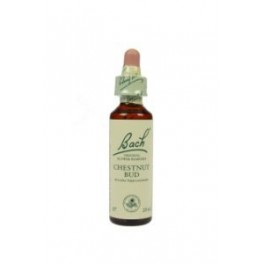 Bachbloesems Nelson Chestnut Bud 20 ml.