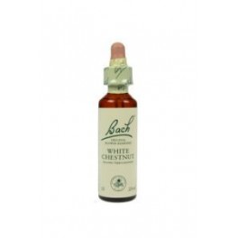 Bachbloesems Nelson White Chestnut 20 ml. Bachbloesems Nelson White Chestnut 20 ml.