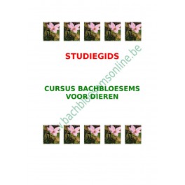 Studiegids Thuiscursus Bachbloesems voor Dieren Studiegids Thuiscursus Bachbloesems voor Dieren