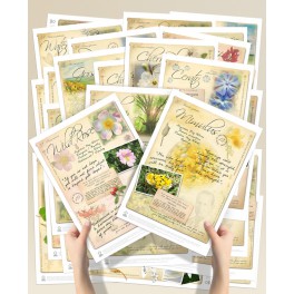 Bach Flower Posters Complete Set van 38 (A4) 
