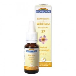 Wild Rose 20 ml.