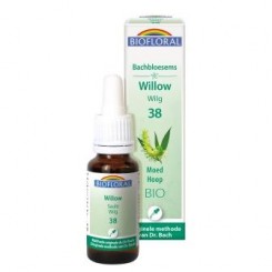 Willow 20 ml.